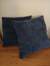 2 chenille pillows in Alamogordo, New Mexico