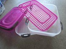 Cupcakes tray in Ramstein, Germany