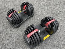 Adjustable Dumbbell Weights in Okinawa, Japan