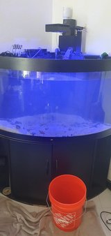 90 gallon corner aquarium and stand. in Wiesbaden, GE
