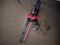 Hedge trimmer in Houston, Texas
