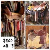 Western  Saddle s in Houston, Texas