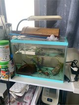 small tank with lighting in Okinawa, Japan