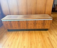 Mid Century 1970s Media Cabinet in Indianapolis, Indiana