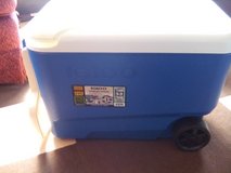 igloo cooler in Warner Robins, Georgia