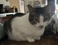 Sweet female in Warner Robins, Georgia