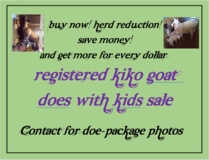 Herd Reduction ~ Registered Kiko Livestock Sale in Leesville, Louisiana