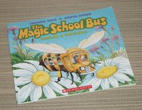 Vintage 1998 The Magic School Bus in A Beehive  Book Scholastic in Morris, Illinois