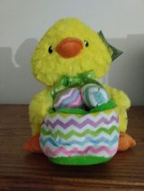 EASTER CHICK PLUSH MUSICAL in Oswego, Illinois