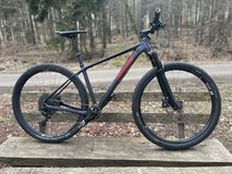 Premium Mountainbike Radon Jealous AL 10.0 – High-End Spec & Lightweight in Ramstein, Germany