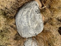 landscaping Rocks in Yucca Valley, California