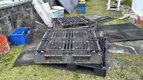 plastic pallets in Okinawa, Japan