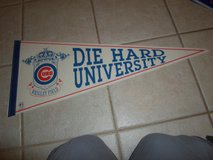 Chicago Cubs Pennant in Sandwich, Illinois