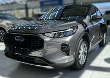 2023 Ford Escape Active in Ramstein, Germany