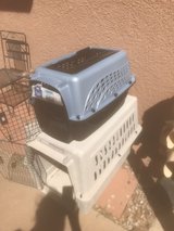 2 dog crates in Alamogordo, New Mexico
