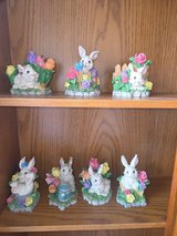 Little Easter bunnies in Fort Campbell, Kentucky