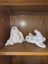 Little bunnies in Fort Campbell, Kentucky