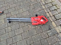Yard electric blower in Baumholder, GE