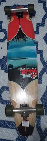 long board in Naperville, Illinois