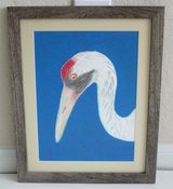 Whooping Crane, Framed Original Art in Houston, Texas