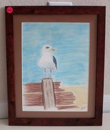 Seagull, Framed Original Art in Houston, Texas