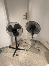 Fans (each) in Ramstein, Germany