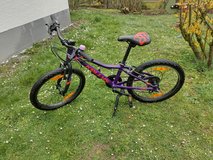 Kelly's Lumi 30 Purple Mountain bike in Ramstein, Germany