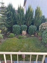 Semi-detached house in Echterdingen in Stuttgart, GE