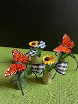 LOVE Butterflies? in Aurora, Illinois