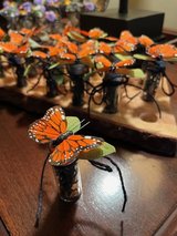 Butterflies are Coming! in Aurora, Illinois