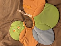 Soft collar in Okinawa, Japan