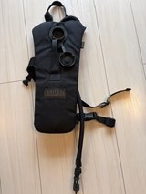 2L Camel back in Okinawa, Japan