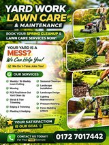 Yard Work/Lawn Care/Maintenance/Pressure washing Service      book your spring cleanup and lawn ... in Ramstein, Germany