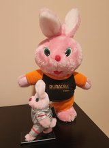 Duracell Bunnies in Plainfield, Illinois
