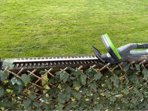 hedge trimmer in Spangdahlem, Germany