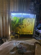 44 gallon Hexagon Tank in Fort Polk, Louisiana