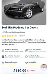 challenger car cover in Chicago, Illinois