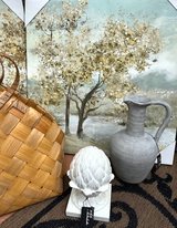 Spring Things in Aurora, Illinois