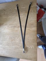 Y-leash in Stuttgart, GE