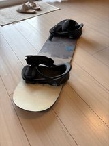 Snowboard addiction training board in Okinawa, Japan