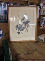 Bird Painting in Fort Knox, Kentucky