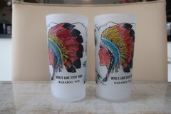 Vintage & RARE Pair of Devils Lake State Park Baraboo Wisconsin Frosted Glasses in Bolingbrook, Illinois