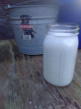 Lactose intolerance? Farm fresh raw A2 goat milk (32 oz) in Alexandria, Louisiana