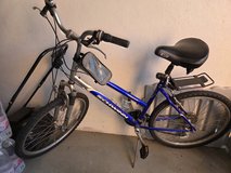Bike for adults in Ramstein, Germany