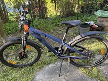 Voltage 24 Bicycle in Stuttgart, GE