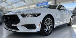 2024 Ford Mustang Ecoboost Fastback in Ramstein, Germany