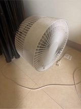 free fan in Okinawa, Japan