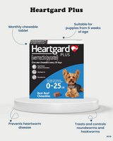 Buy Heartgard Plus for Dogs Online | Trusted Heartworm Prevention in Houston, Texas