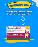 Buy Simparica Trio for Dogs Online | Complete Flea Tick Heartworm Protection in Houston, Texas