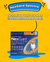 Buy NexGard Spectra for Dogs Online | Complete Flea Tick Heartworm Protection in Houston, Texas